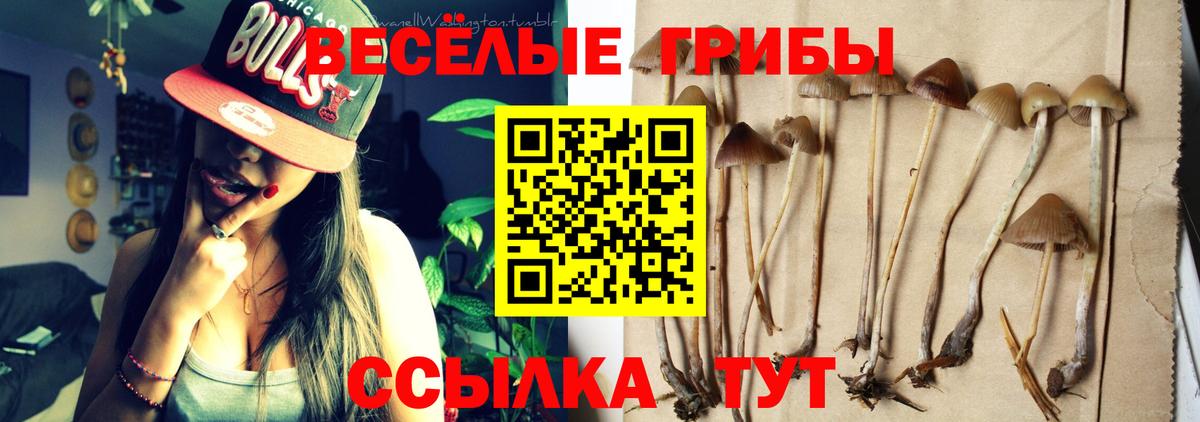 Галлюциногенные грибы мухоморы  Вход с VPN  Ливны 